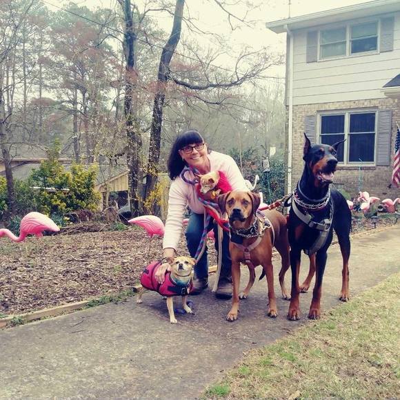 Meet your Posher, Roseann - Picture 1 of 1